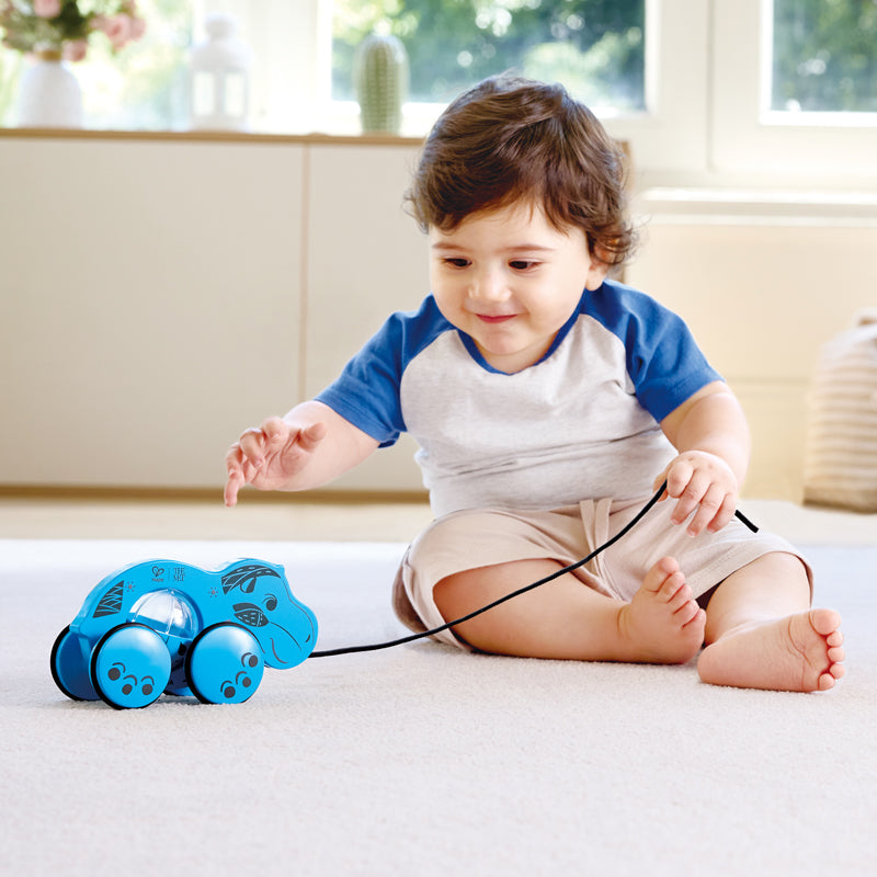 William® Pull-Along Toy