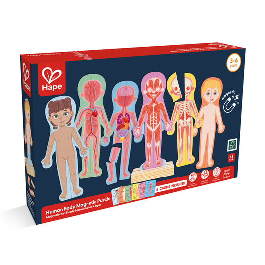 Human Body Magnetic Puzzle