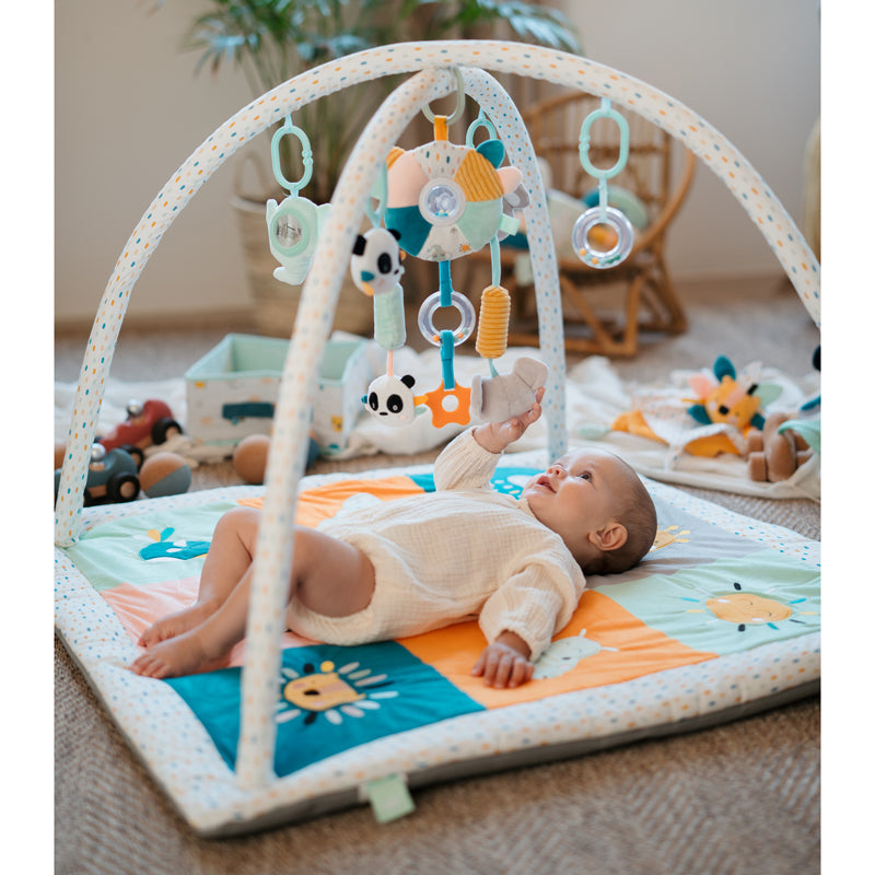 CUCU Baby Activity Gym