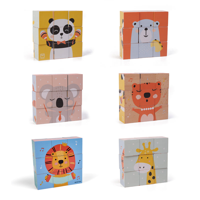 Wild Cubic Puzzle