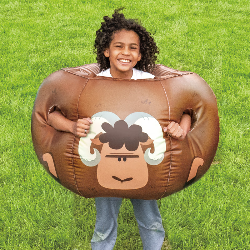 Blow-up Bumper Balls (Set of 2)