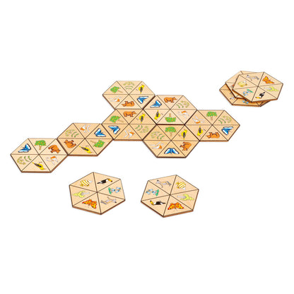 Hexagon Nature