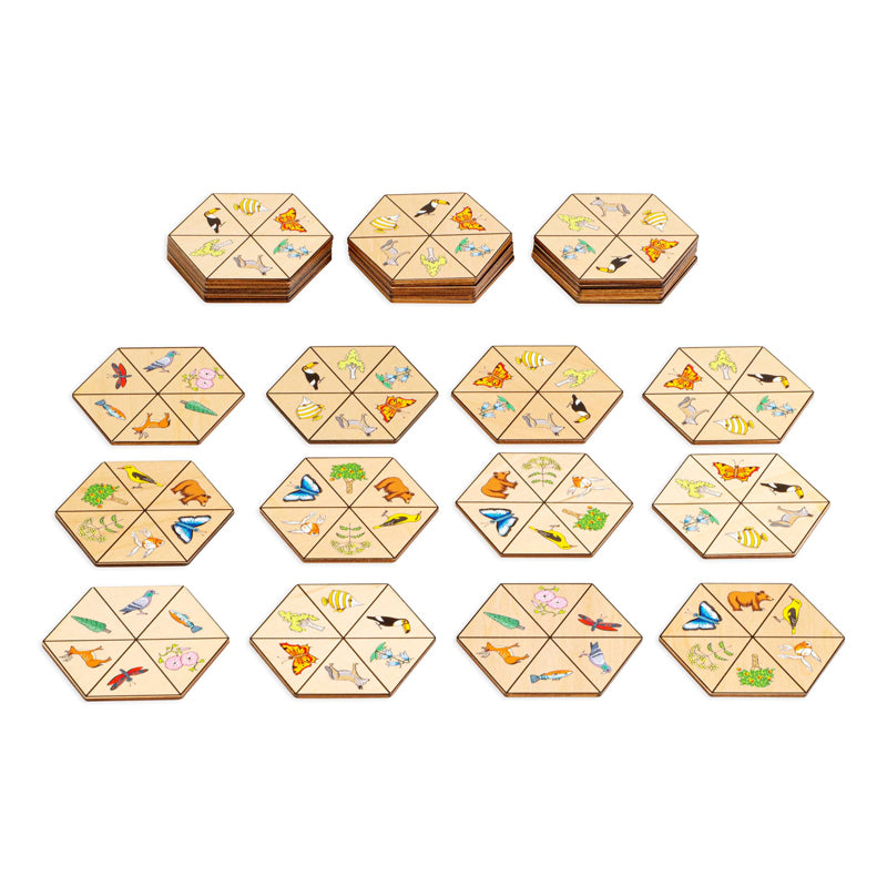 Hexagon Nature