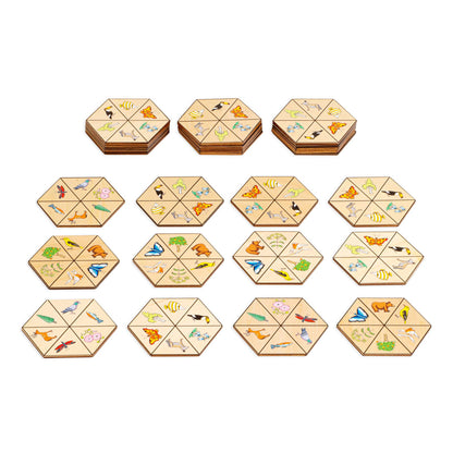 Hexagon Nature