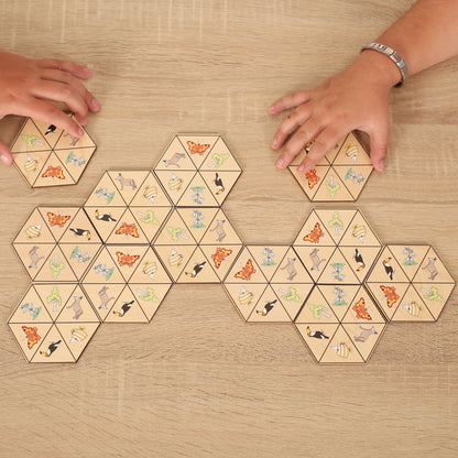 Hexagon Nature
