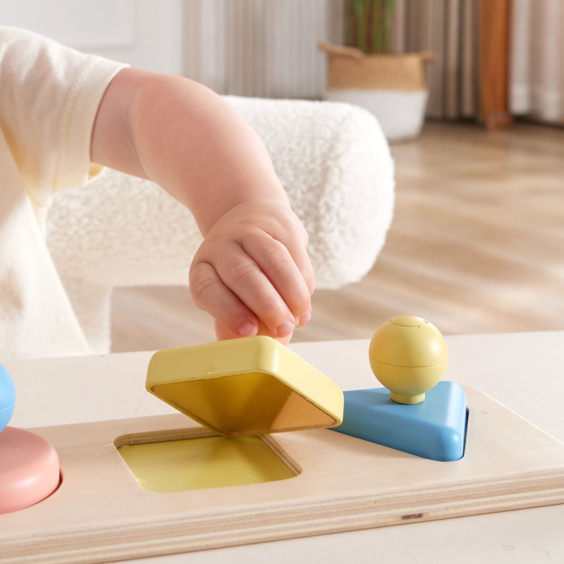 Montessori Mirror Shape Puzzle