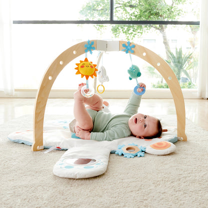 Snuggle Bear Activity Gym