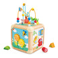 Carrot Activity Cube