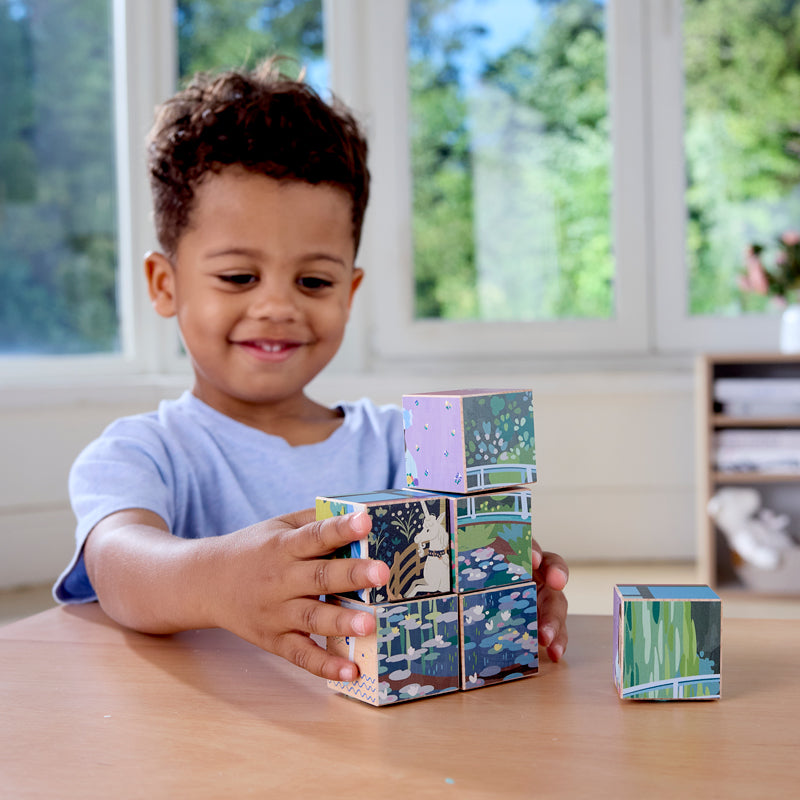 Puzzle Cubes