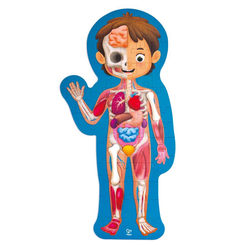 Human Body Puzzle
