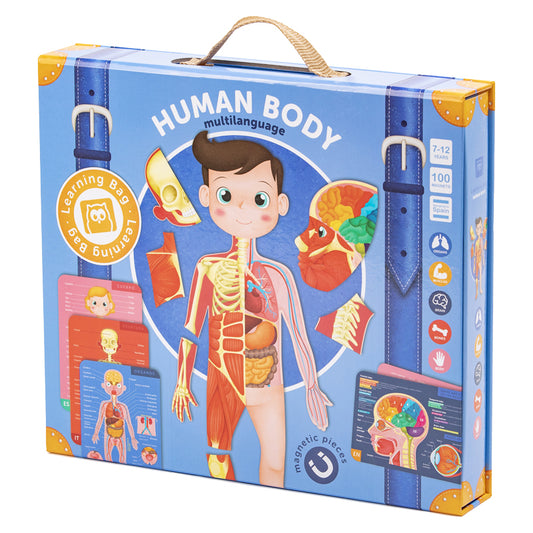 Magnetic Human Body
