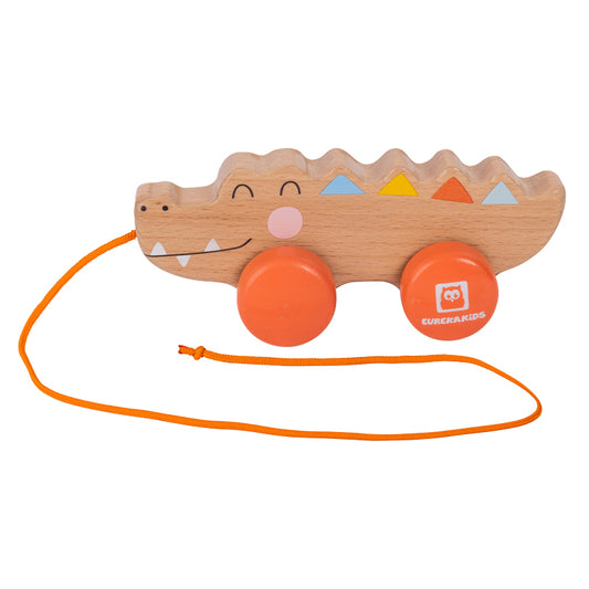 Wild Mini Crocodile
