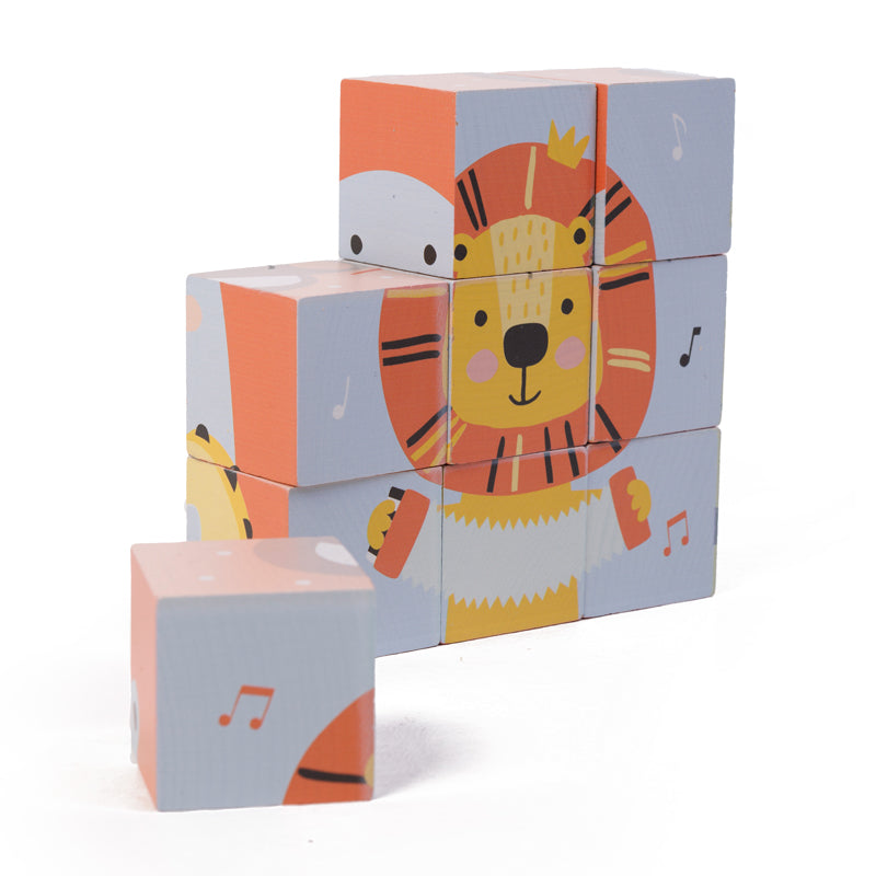 Wild Cubic Puzzle