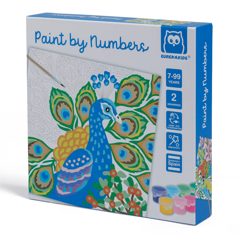 Paint By Number Birds