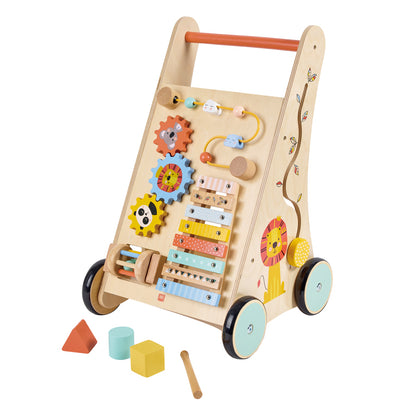 Activity Trolley Walker