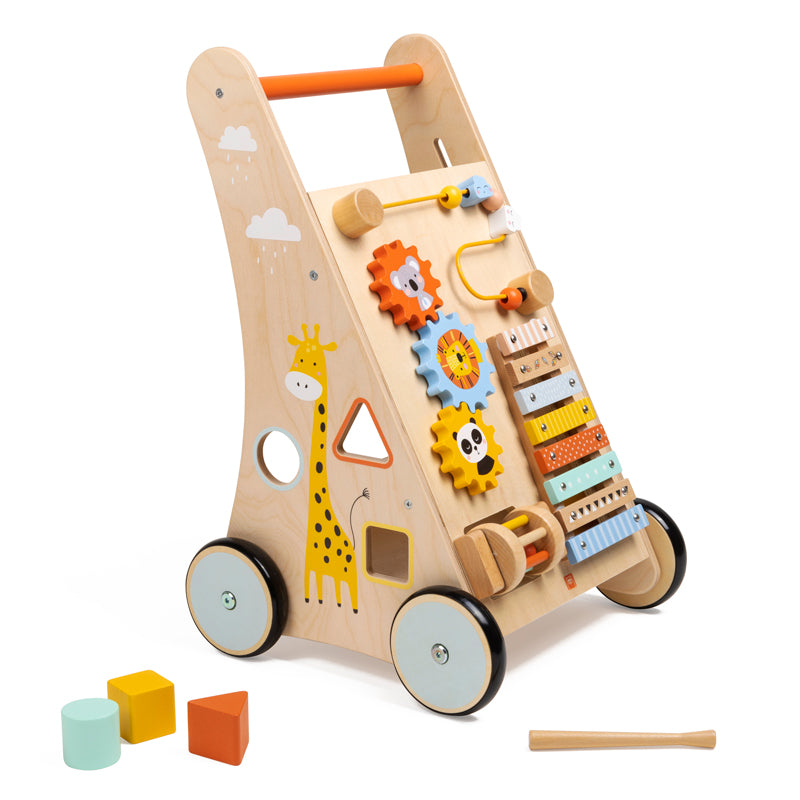 Activity Trolley Walker