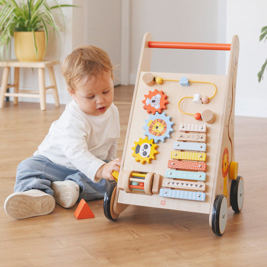 Activity Trolley Walker