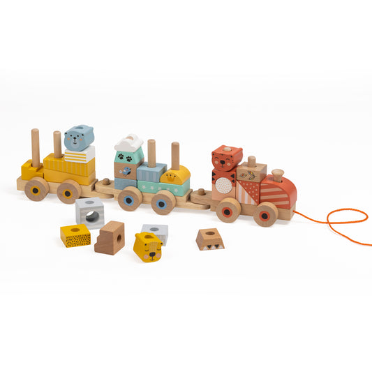 Wooden Train Blocks