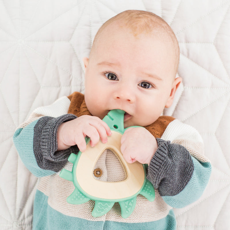 Teether Hedgehog-FSC 100%