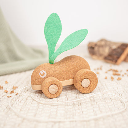 Hopping Bunny Pull Along Toy