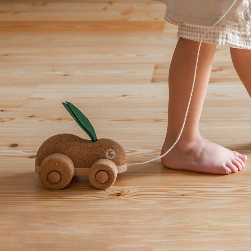 Hopping Bunny Pull Along Toy