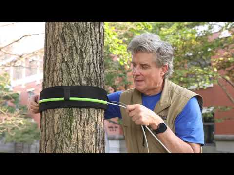 Zipline  Brake Quick Setup